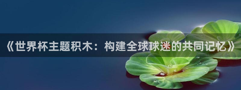 世界杯 2026：《世界杯主题积木：构建全球球迷的共同记忆》