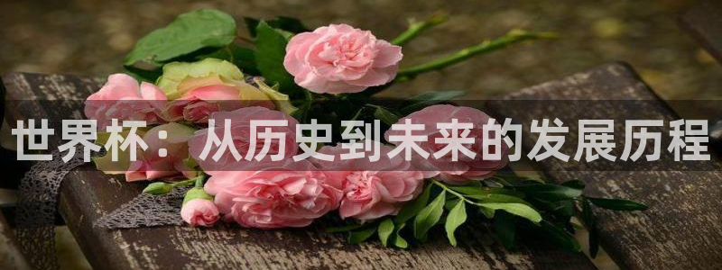 世界杯足球2026：世界杯：从历史到未来的发展历程