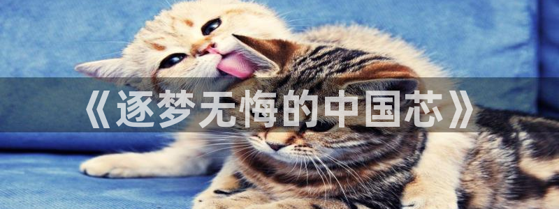 2026葡萄牙杯赛程表：《逐梦无悔的中国芯》
