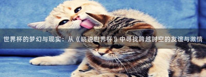 世界杯亚洲区预选赛赛程表：世界杯的梦幻与现实：从《晓说世界杯》中寻找跨越时空的友谊与激情