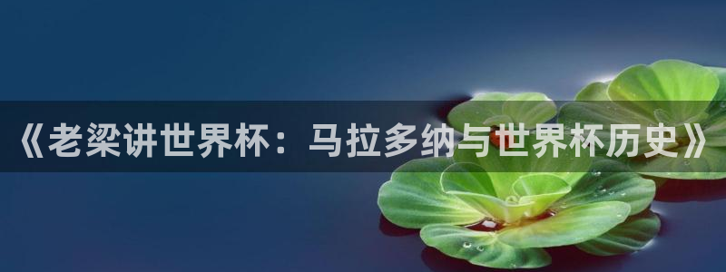 世界杯足球赛2026：《老梁讲世界杯：马拉多纳与世界杯历史》