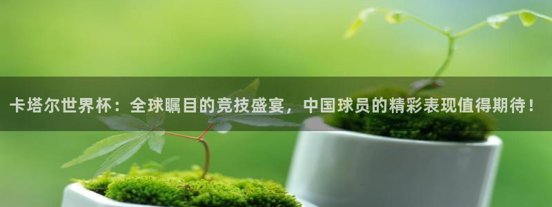 世界杯视频：卡塔尔世界杯：全球瞩目的竞技盛宴，中国球员的精彩表现值得期待！