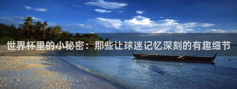 2026世界杯：世界杯里的小秘密：那些让球迷记忆深刻的有趣细节