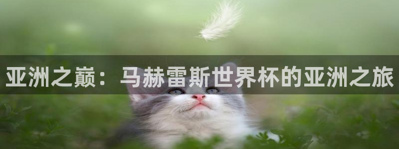 世界杯欧洲预选赛赛程：亚洲之巅：马赫雷斯世界杯的亚洲之旅
