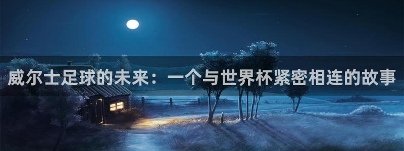 2026年世界杯赛程表时间：威尔士足球的未来：一个与世界杯紧密相连的故事