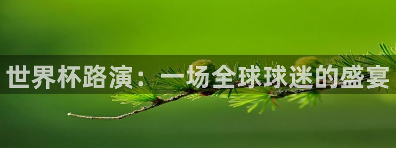 2026世界杯赛制：世界杯路演：一场全球球迷的盛宴